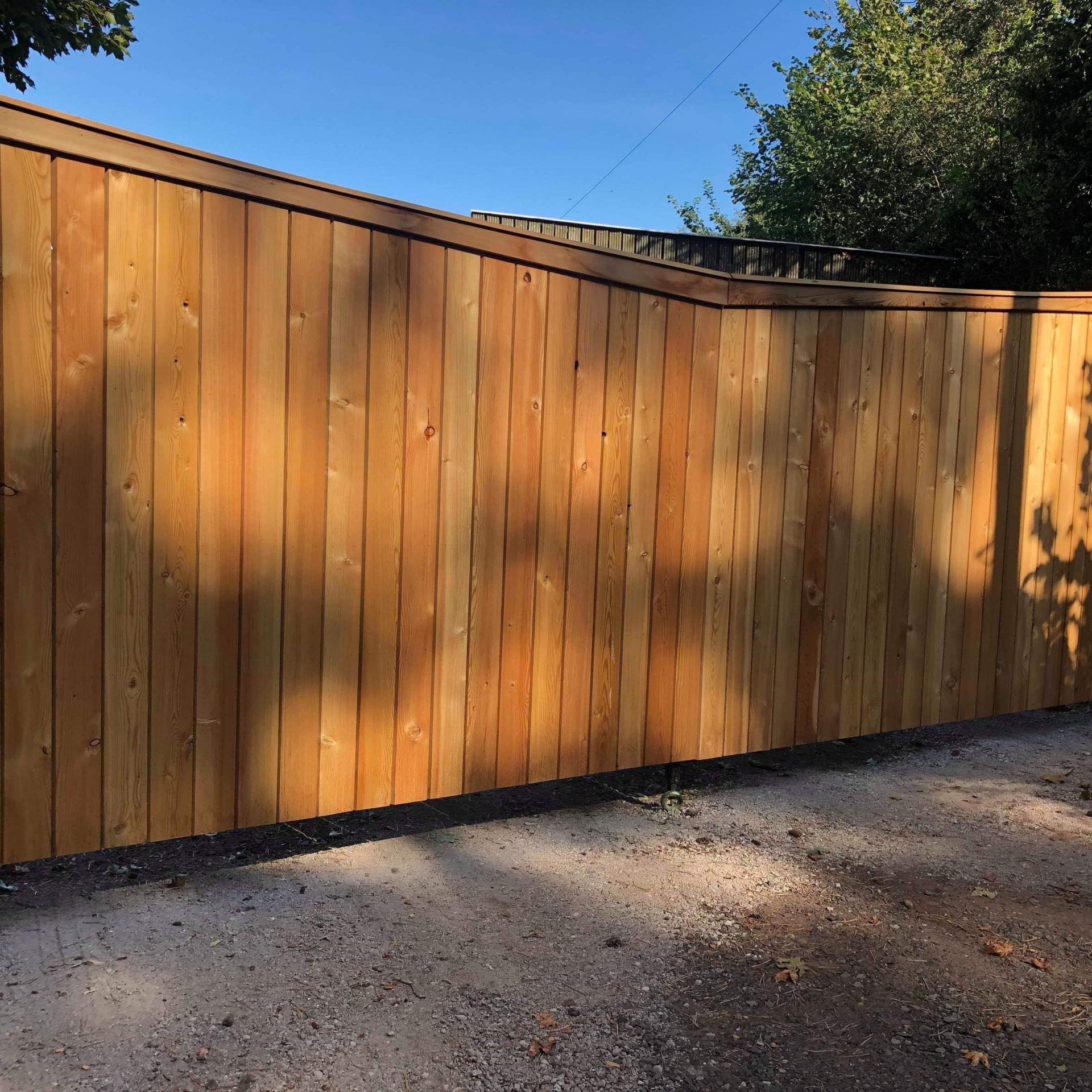 Fencing Boards - Siberian Larch - Timberulove